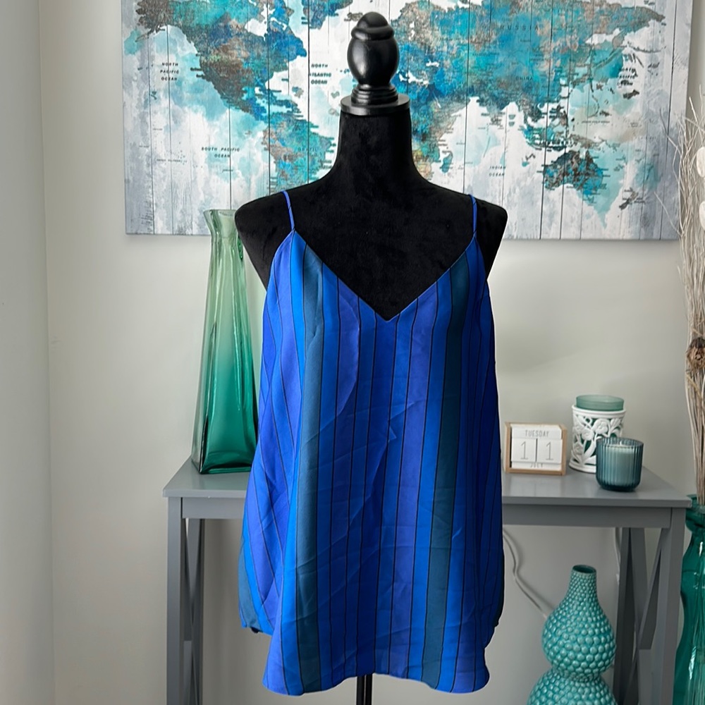 Summery striped spaghetti strap shirt. New with tags. Express.